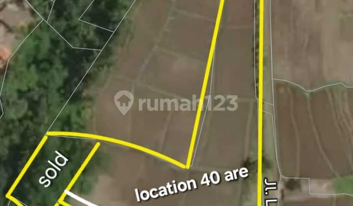 Sure Deal For Rent Land Location Tegallalang Ubud Gianyar Bali