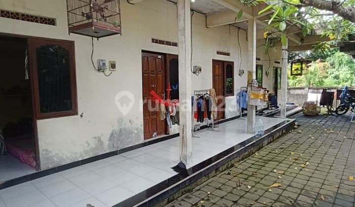 Pasti Deal di Jual Rumah dan Kost Lokasi Ketewel Gianyar Bali