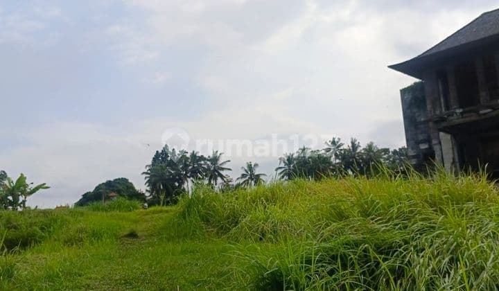 PASTI DEAL DI JUAL TANAH LOSS SUNGAI VIEW SAWAH LOKASI PEJENG KANGIN UBUD GIANYAR