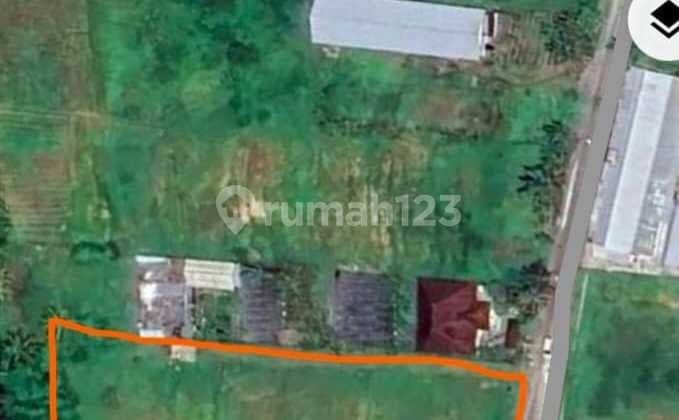 Sure Deal For Sale Roadside Land Location Batuaji Kerambitan Tabanan Bali