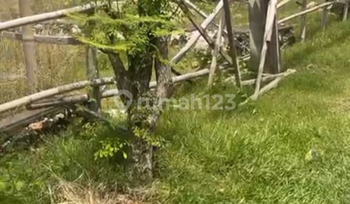 Pasti Deal di Sewakan Tanah Lokasi Tukad Badung Denpasar Selatan Bali