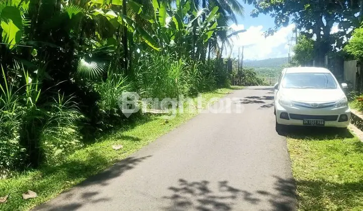 TANAH DIJUAL 50 ARE BISA AMBIL SEBAGIAN MIN 15 ARE DEKAT PANTAI DI PEKUTATAN JEMBRANA BALI BARAT