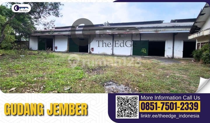 Gudang Jember Kota Siap Pakai - Cocok Distribusi & Operasional