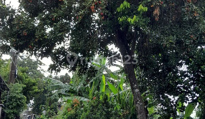 Asphalt roadside garden land near Kayu Manis toll, Sereal land