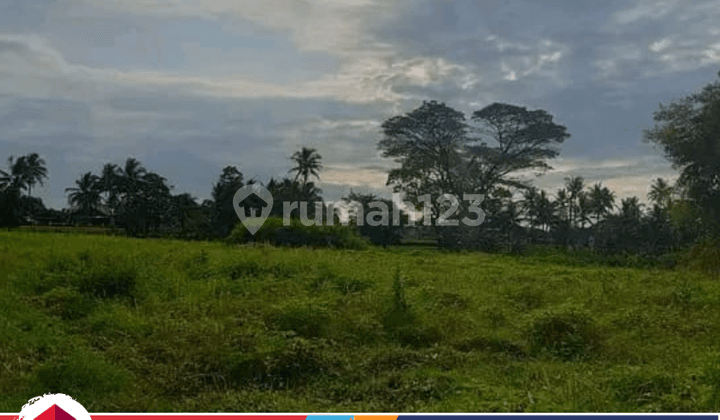 Dijual Tanah Strategis di Lebakwangi Kuningan - Harga Bersahabat, Nego Sampai Jadi