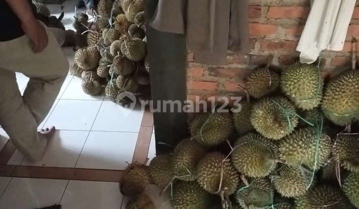 Tanah Kebun Durian Villa Strategis Dekat Kebun Raya Kota Bogor
