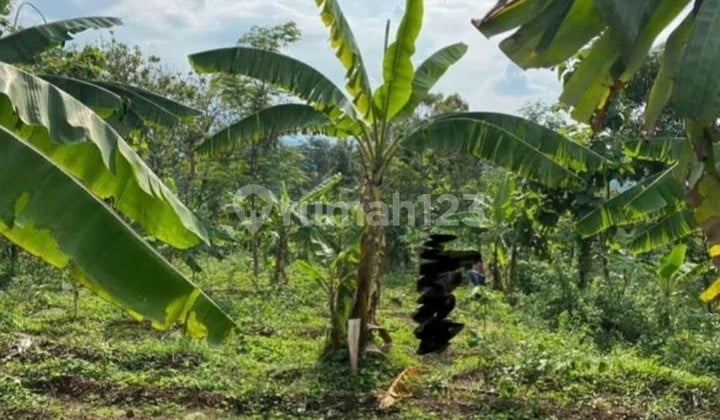 DIJUAL TANAH DI TRAWAS COCOK UNTUK BISNIS PROPERTY