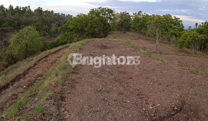 Dijual Tanah Luas Di Daerah Pariwisata Tulamben Karangasem Bali