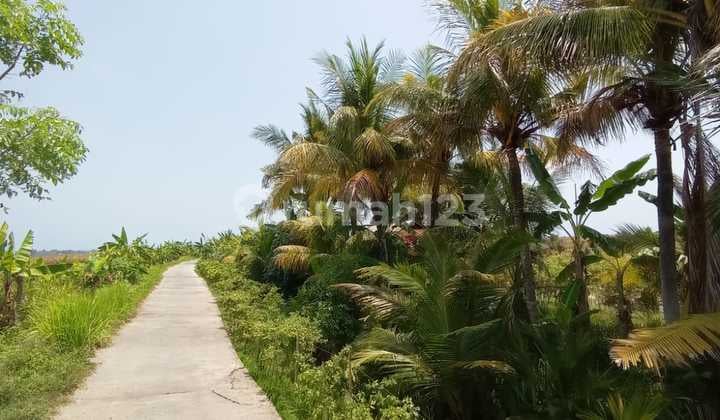Global Land Suitable For Villas in Tangguntiti, Selemadeg,