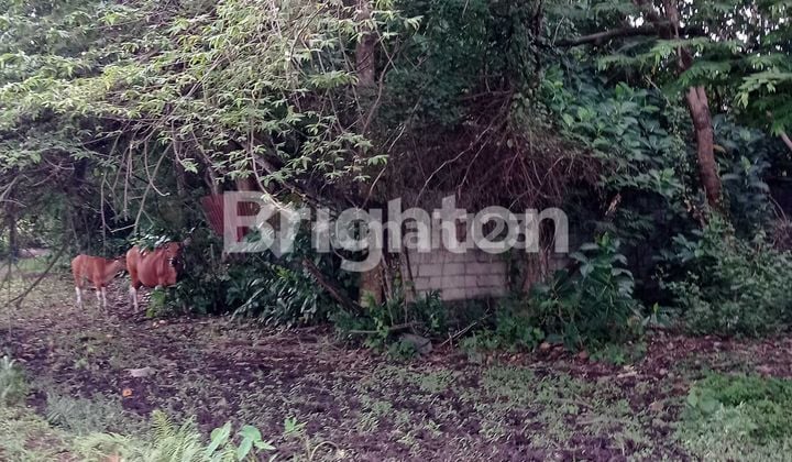 Strategic Land for Sale Suitable for House and Villa in Dalung, Bali