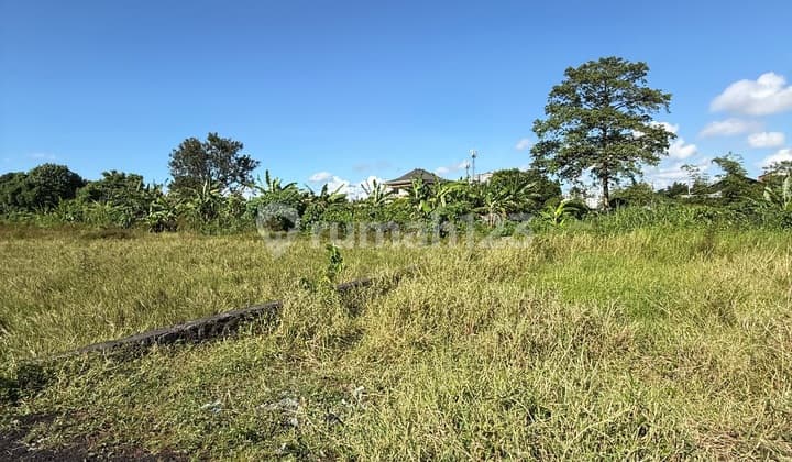 Tanah Kavling 237M² SHM Dekat Living World Gatot Subroto Denpasar Bali