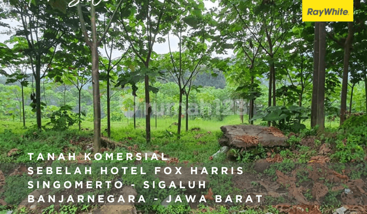Adjacent Land to the Hotel - Banjarnegara, 3,950 m²