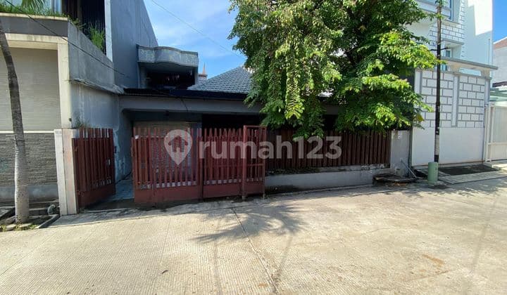 For Rent: Good House in Sunrise Garden