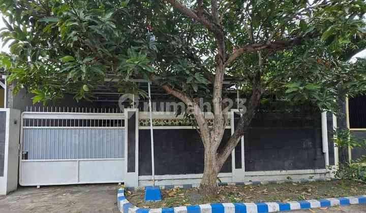 Rumah Minimalis Siap Huni di Driyorejo (Lm)