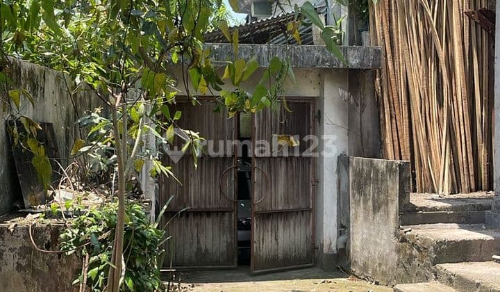 Tanah 290.0 M² Plus Bangunan Di Lingkungan Vila Munggu Dk