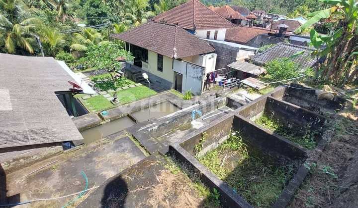 Dijual Rumah Pondok Di Jl Utama Nasional Pupuan Singaraja Dt