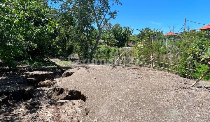 Buc Dijual Tanah 5are Zona Kuning 2 Km Ke Pantai Kedungu Dan