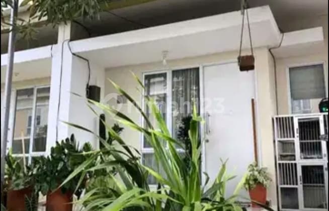 Ready-to-Live Rental House for Young Families in Serpong BSD Area