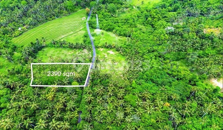 Investasi Tanah di Tabanan (Ipp)