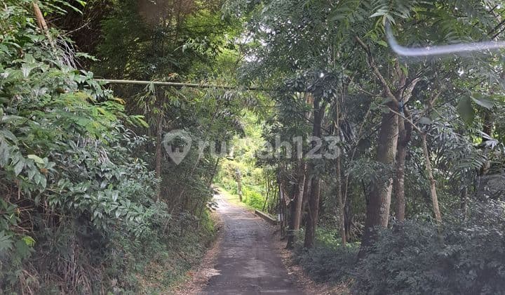 Rumah Serasa Vila Dago Giri Bandung Lingkungan Asri Nyaman