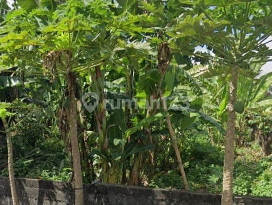 Tanah di Batu Belig Cocok untuk Villa