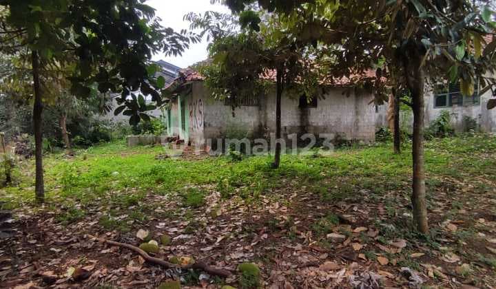 Tanah View Danau Bonus Bangunan Di Pabuaran Kemang Bogor