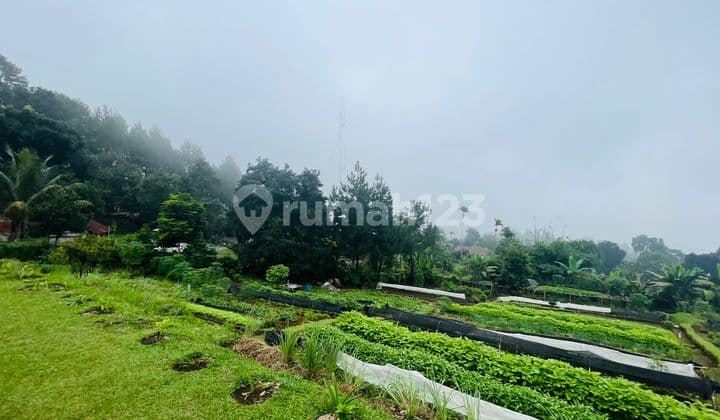 Tanah Kebun View Gunung Cocok Buat Villa Ciapus Dekat Highland