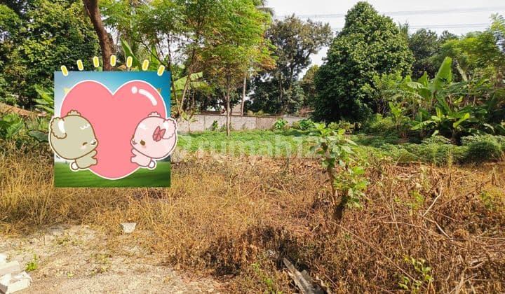 Tanah Bagus Di Kemang Cocok Untuk Gudang ( Raya Bogor-parung )
