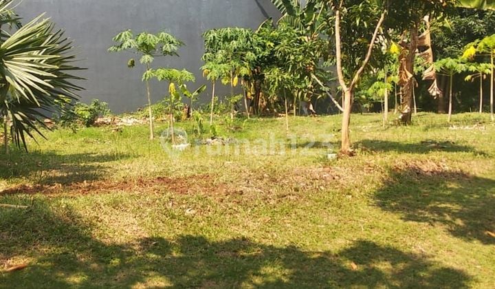 Dijual Kavling Lotus Palace Lt. 768 Di Pik Dijual Kavling Lotus Palace Lt. 768 Di Pik