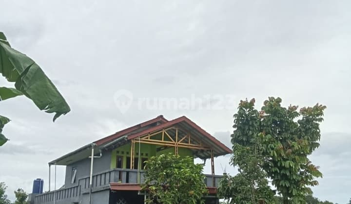 Di Jual Rumah Kampung Tengah Sawah Dramaga Kabupaten Bogor
