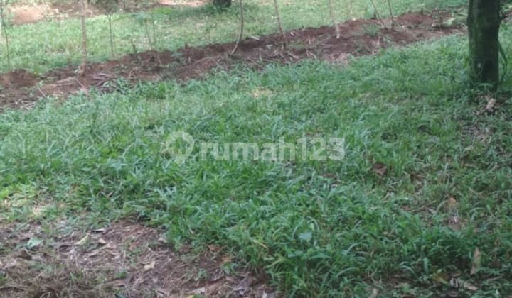 Jual Tanah di Ciawi Kabupaten Bogor