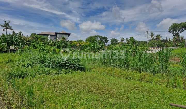 Land on Jl. Prof Ida Bagus Mantra Bali - Slight Negotiation