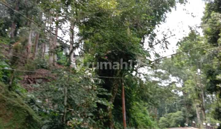 Dijual Murah Tanah Kavling Berkontur Istimewa di Komplek Elit Dan Private Mega Indah Estate, Mega Mendung