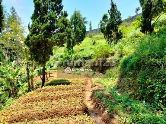 Sangat Murah Tanah Kebun dengan Kontur Istimewa dengan View Gunung Gede/ Pangrango di Kawasan Mega Mendung