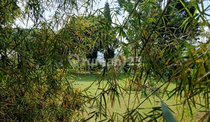 Dijual Tanah Kebun Luas Dan Lapang Dengan Kontur Tanah Sebagian Besar Datar di Kawasan Cibogo Cipayung, Mega Mendung