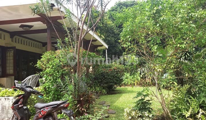 Dijual Rumah Klasik Terawat Dan Asri Bergaya Arsitektur Tudor Dengan Halaman Luas di Kawasan Menteng Dekat Taman Menteng