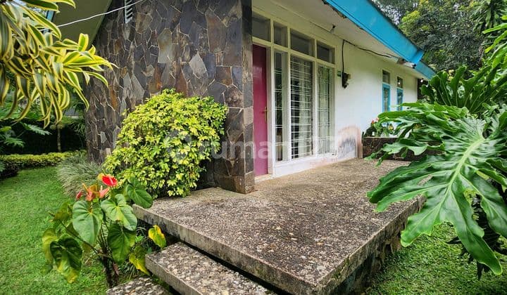 Turun Harga Tanah Kebun di Lokasi Strategis Cisarua Dekat Taman Safari Indonesia