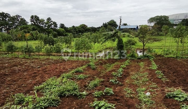 Tanah Kavling 17000 M2 Di Jl. Arteri Bsd Pamulang Tangerang Selatan