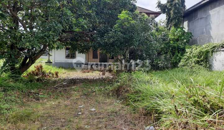Land For Sale In Kerobokan, Free House And Swimming Pool