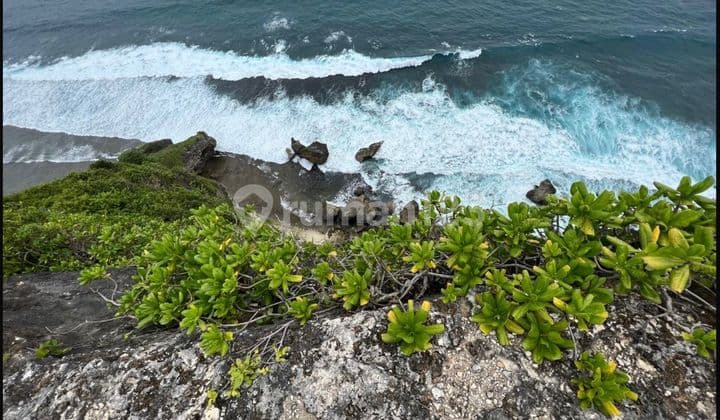 Tanah Keren Di Tebing Pantai Nyang Nyang Pecatu Bali