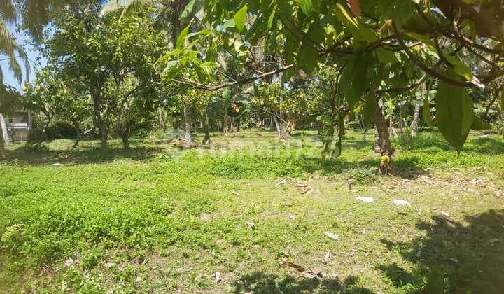 18 Are Land in Timpang, Kerambitan, Tabanan Near Tourist Attractions