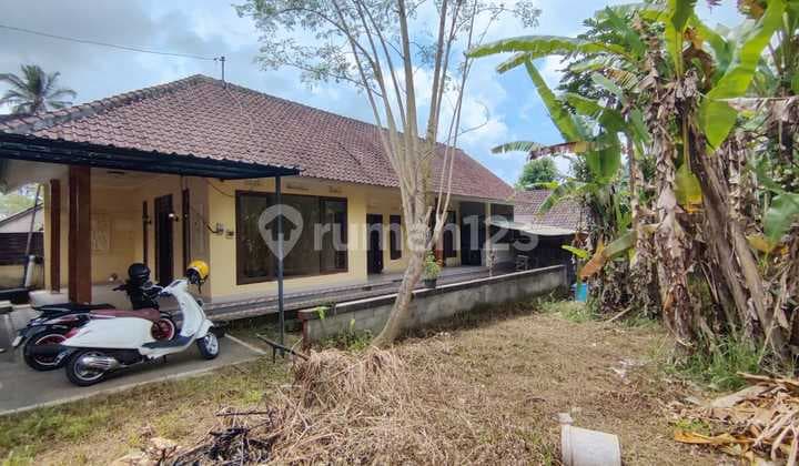 RUMAH 2 KAMAR DI ATAS TANAH LUAS 400M2 DI KELUSA PAYANGAN