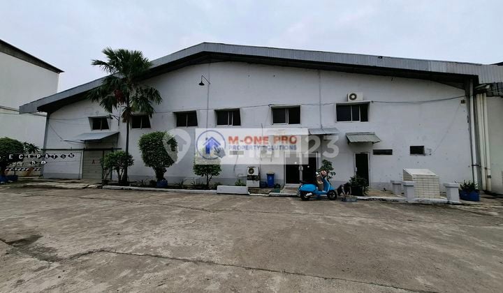 Disewakan Gudang 1100 Mtr Siap Pakai Di Kamal