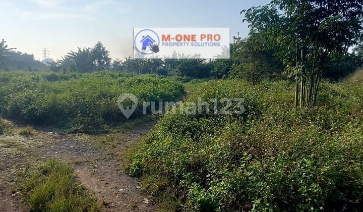 Dijual Tanah Zona Kuning 7 Ha Pinggir Jalan di Legok