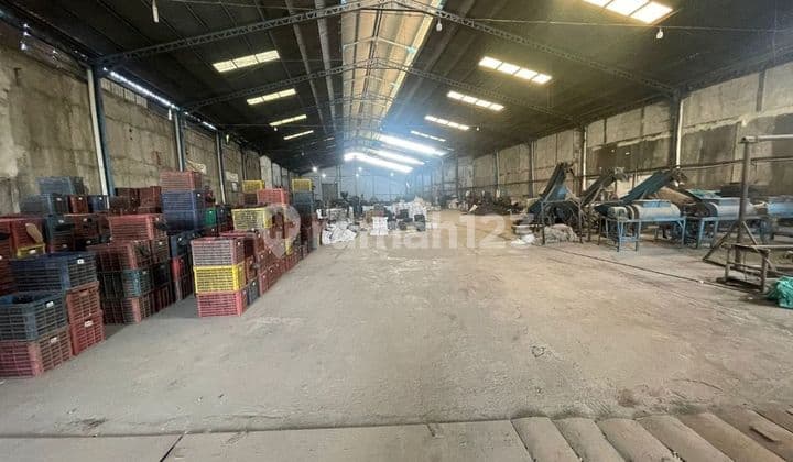 Gudang Dadap Perancis Luas 2500 m SHM LB 3100 m Lebar Muka 27 M Listrik 197 KVA Lokasi Strategis Bebas Banjir #feliciawongso