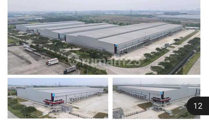 Warehouse Ready for Use for Rent in Central Cikarang