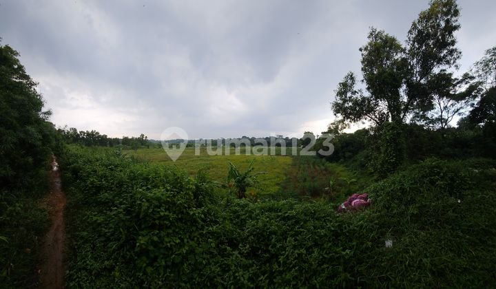 Dijual Tanah di Cikampek/Desa Cikopo Lokasi Strategis 5Ha SHM