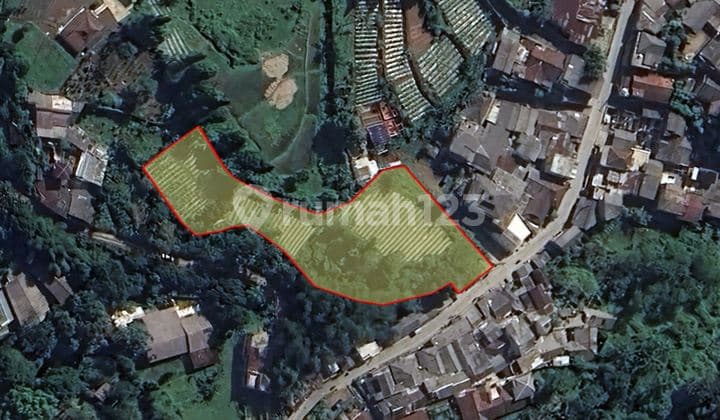 Lahan kebun di jalan Lembah Nendeut, Megamendung - Bogor