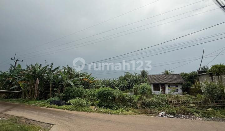 Dijual Tanah 2200 M2 Parung Panjang Bogor Jawa Barat Dekat Statiun Kereta Api, Pinggir Jalan Besar Pau