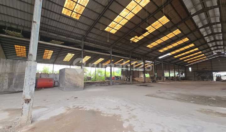 Disewakan Gudang Siap Pakai Di Semper Jakarta Utara